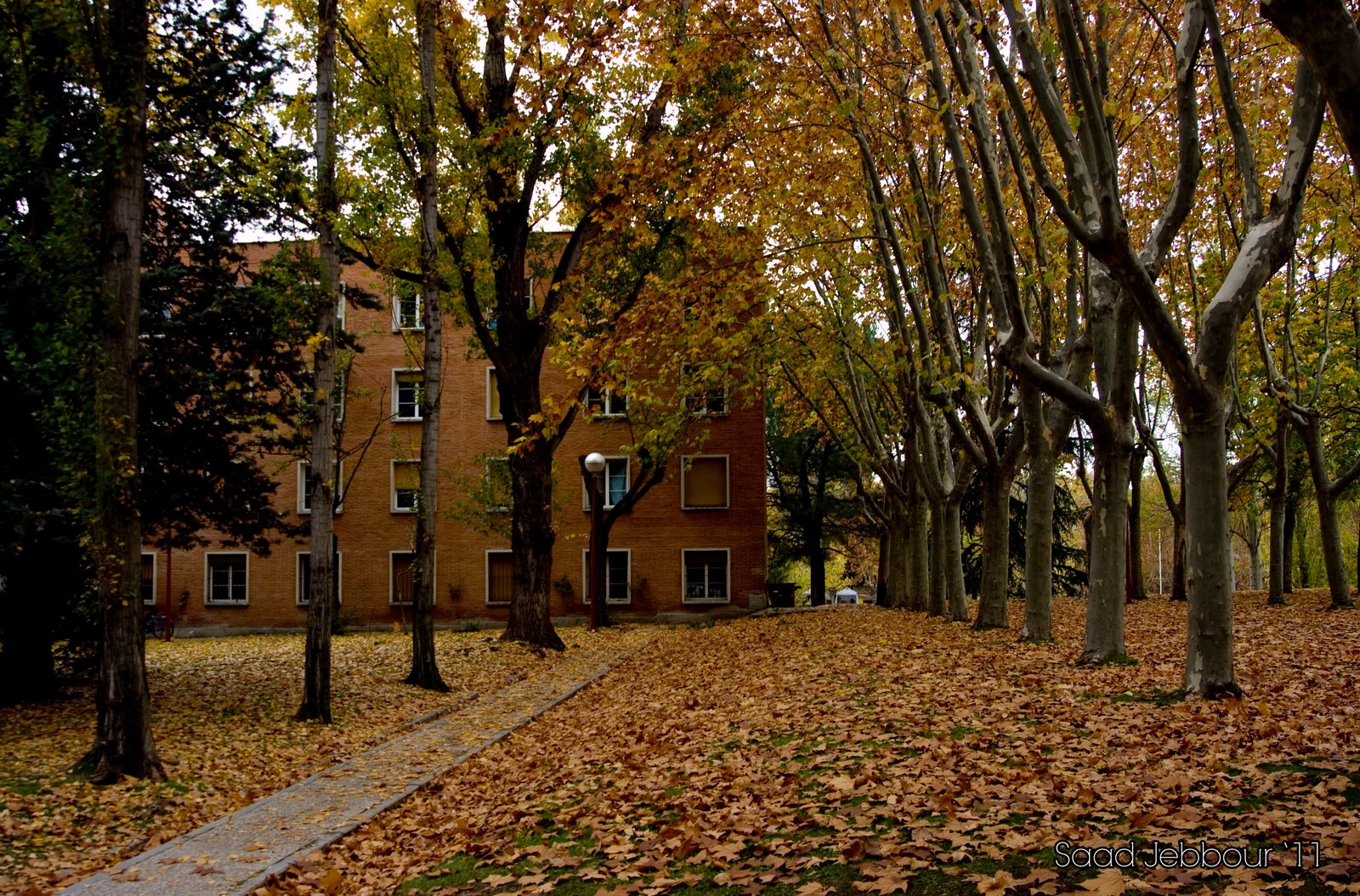Vivement l’automne à Madrid.